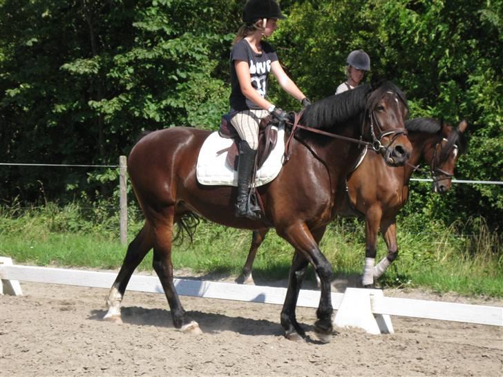 Søborggård Ridelejr Uge 32 billede 84