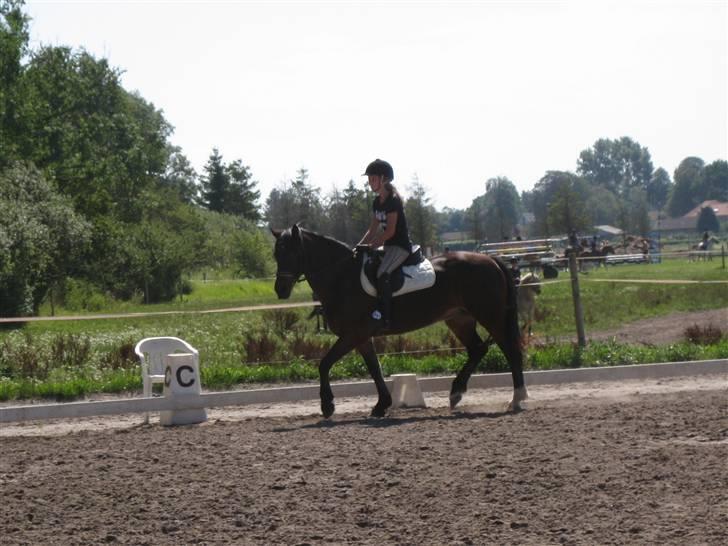 Søborggård Ridelejr Uge 32 billede 86