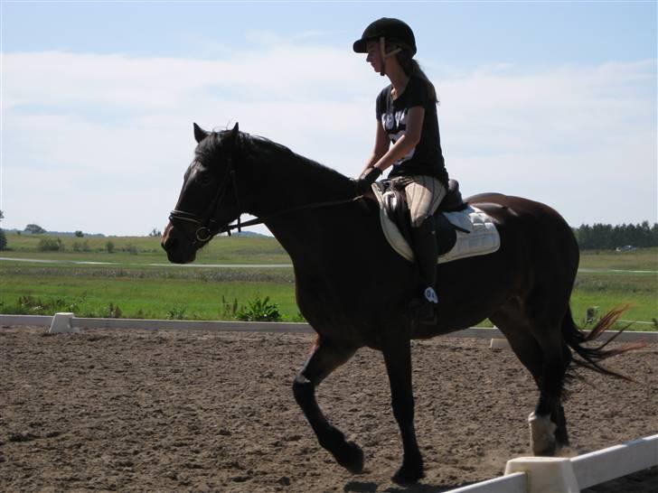 Søborggård Ridelejr Uge 32 billede 87