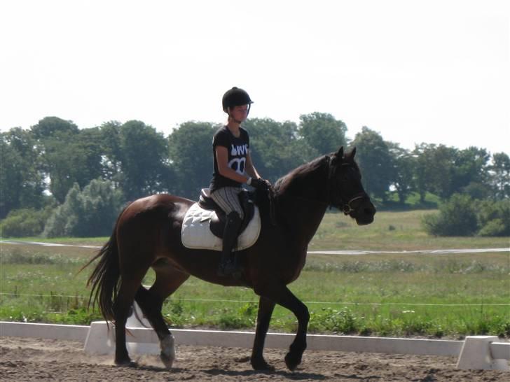 Søborggård Ridelejr Uge 32 billede 88