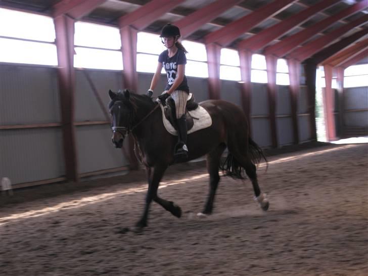 Søborggård Ridelejr Uge 32 billede 89