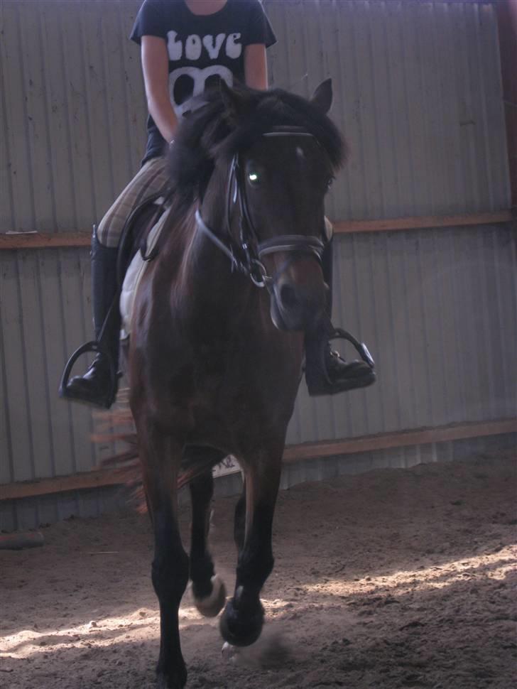 Søborggård Ridelejr Uge 32 billede 90