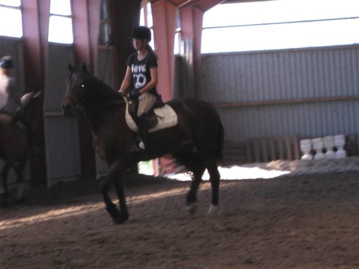 Søborggård Ridelejr Uge 32 billede 91