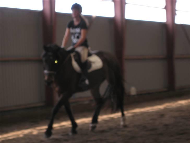 Søborggård Ridelejr Uge 32 billede 92