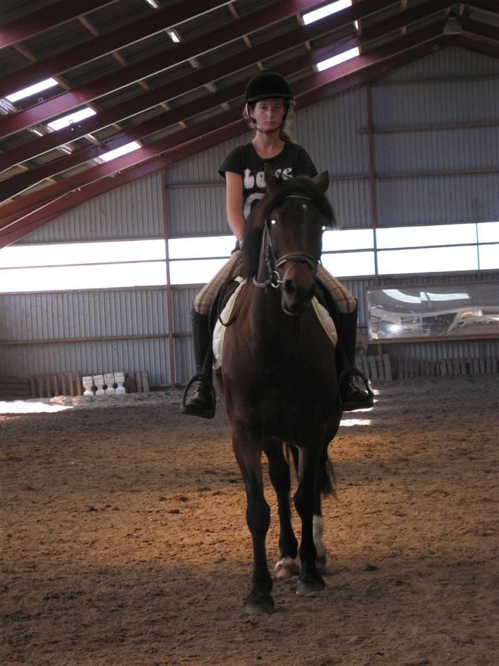 Søborggård Ridelejr Uge 32 billede 93