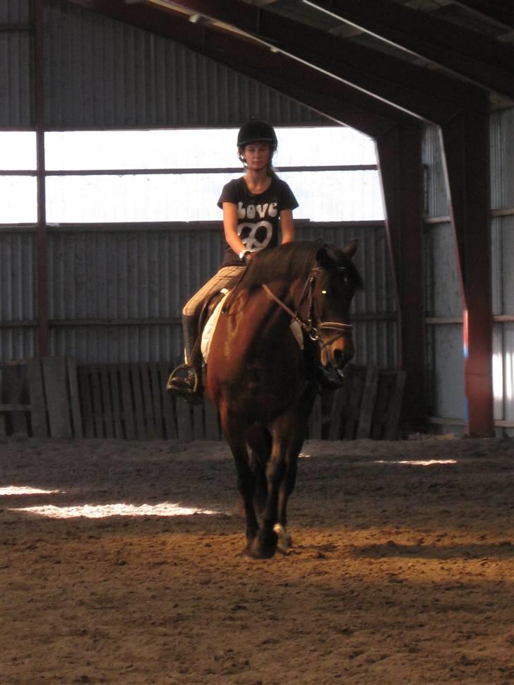 Søborggård Ridelejr Uge 32 billede 94