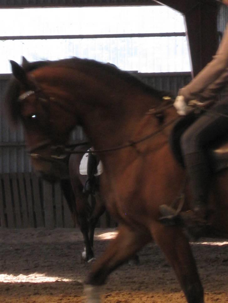 Søborggård Ridelejr Uge 32 billede 95