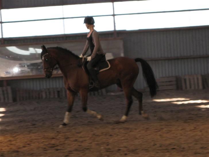 Søborggård Ridelejr Uge 32 billede 97