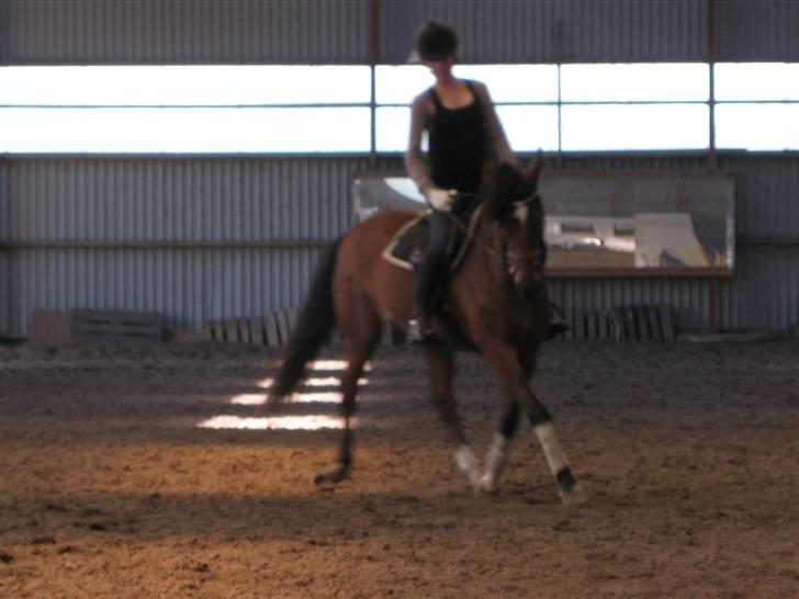 Søborggård Ridelejr Uge 32 billede 98