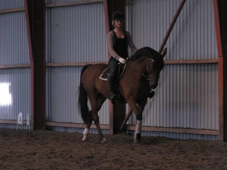 Søborggård Ridelejr Uge 32 billede 99