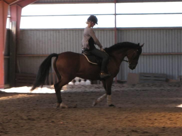 Søborggård Ridelejr Uge 32 billede 100