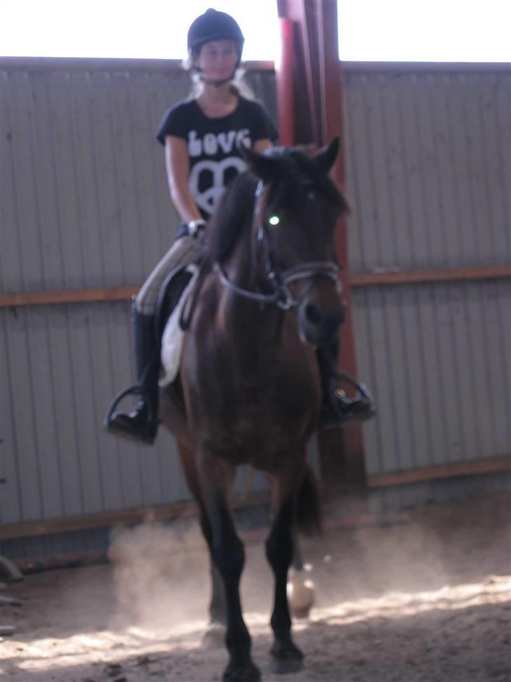 Søborggård Ridelejr Uge 32 billede 101