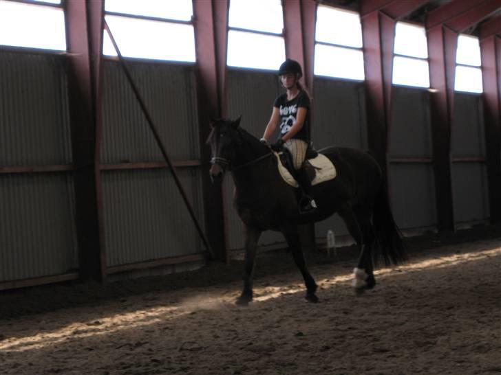 Søborggård Ridelejr Uge 32 billede 102