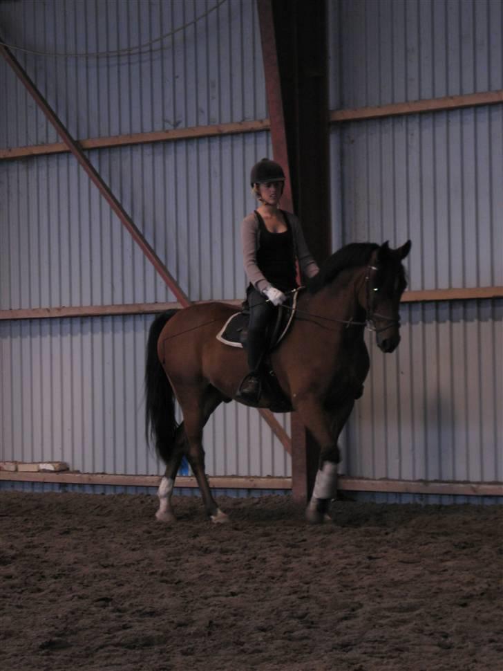 Søborggård Ridelejr Uge 32 billede 103