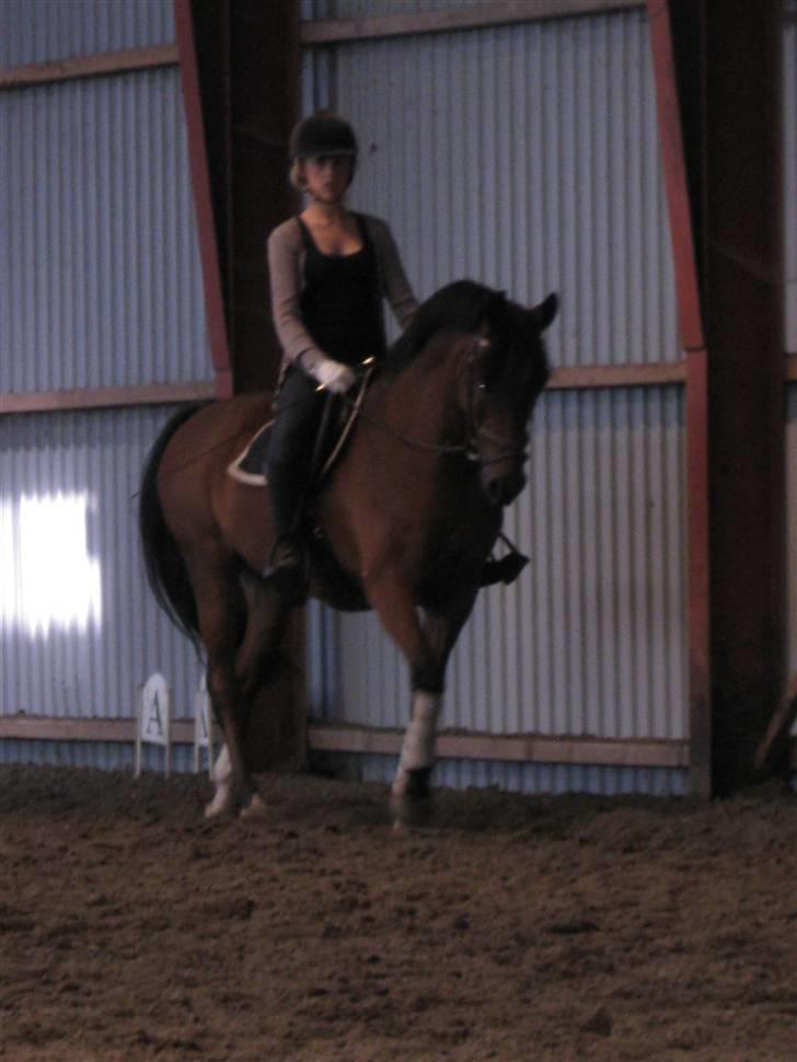 Søborggård Ridelejr Uge 32 billede 104