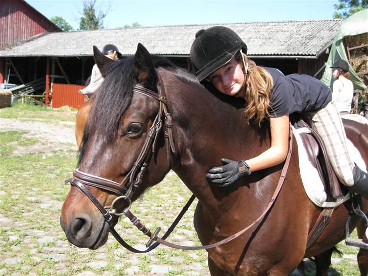 Søborggård Ridelejr Uge 32 billede 107