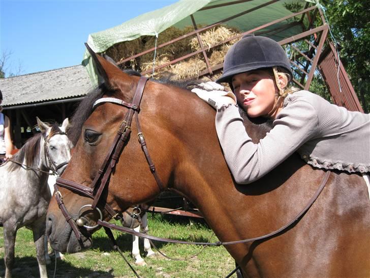 Søborggård Ridelejr Uge 32 billede 114