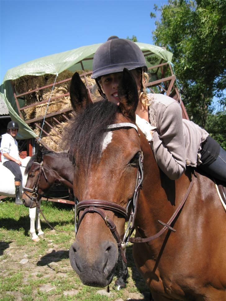 Søborggård Ridelejr Uge 32 billede 115