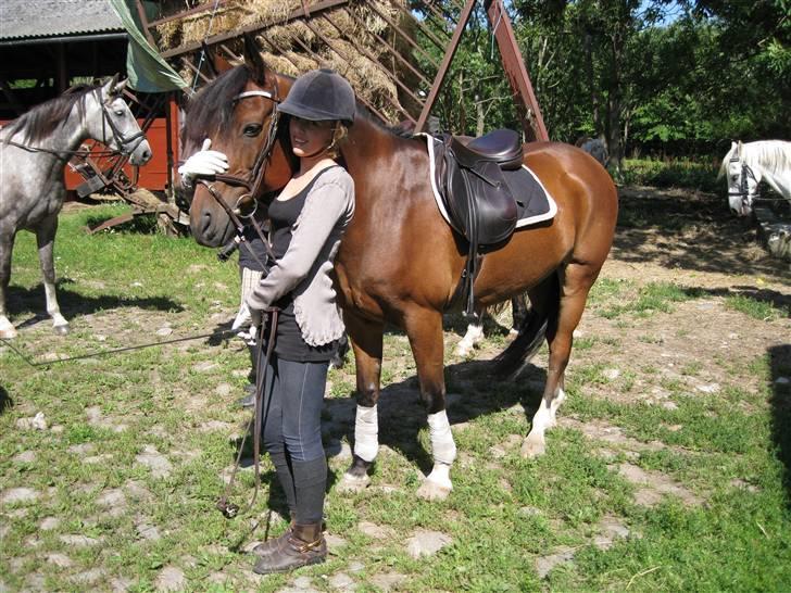 Søborggård Ridelejr Uge 32 billede 120