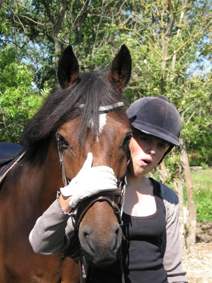 Søborggård Ridelejr Uge 32 billede 123