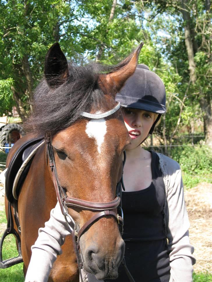 Søborggård Ridelejr Uge 32 billede 125