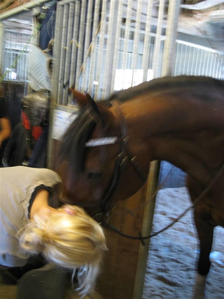 Søborggård Ridelejr Uge 32 billede 128