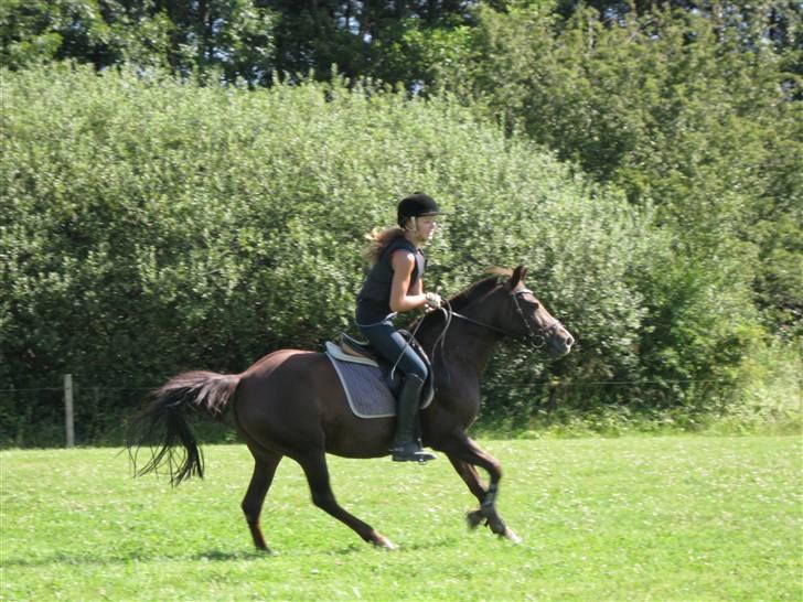 Søborggård Ridelejr Uge 32 billede 130