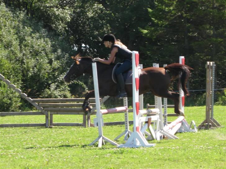 Søborggård Ridelejr Uge 32 billede 131