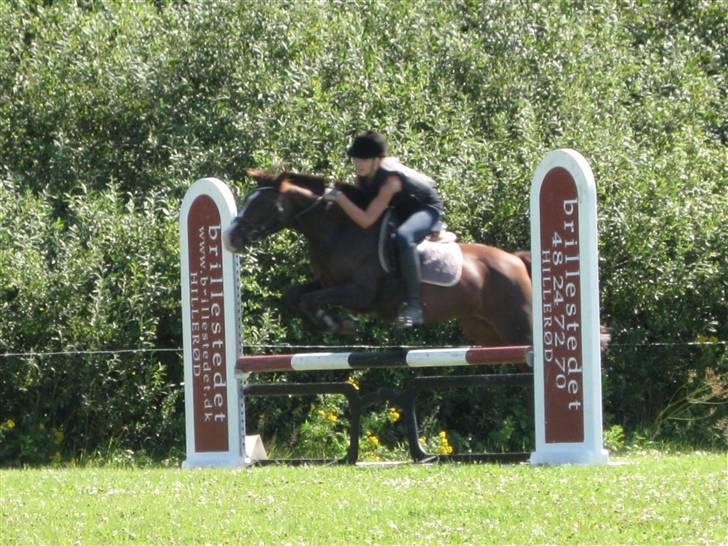 Søborggård Ridelejr Uge 32 billede 132