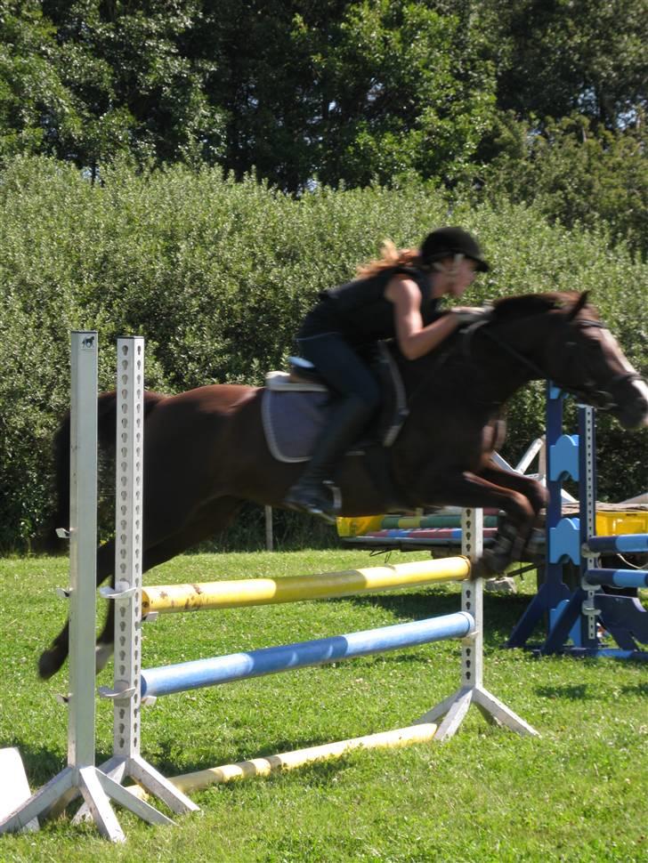 Søborggård Ridelejr Uge 32 billede 133