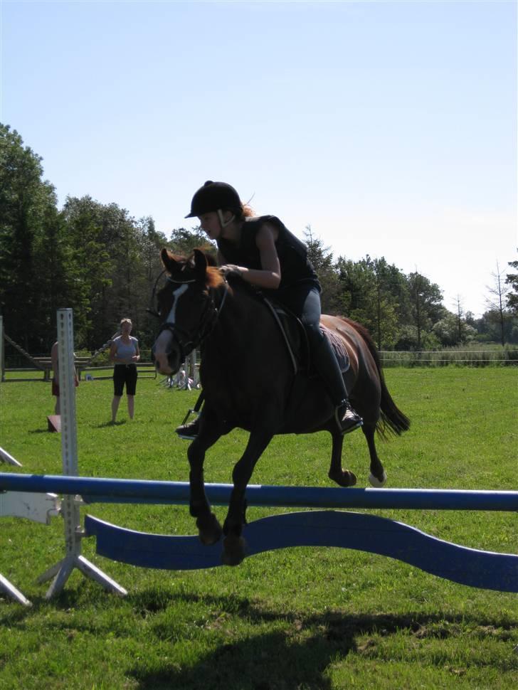Søborggård Ridelejr Uge 32 billede 134