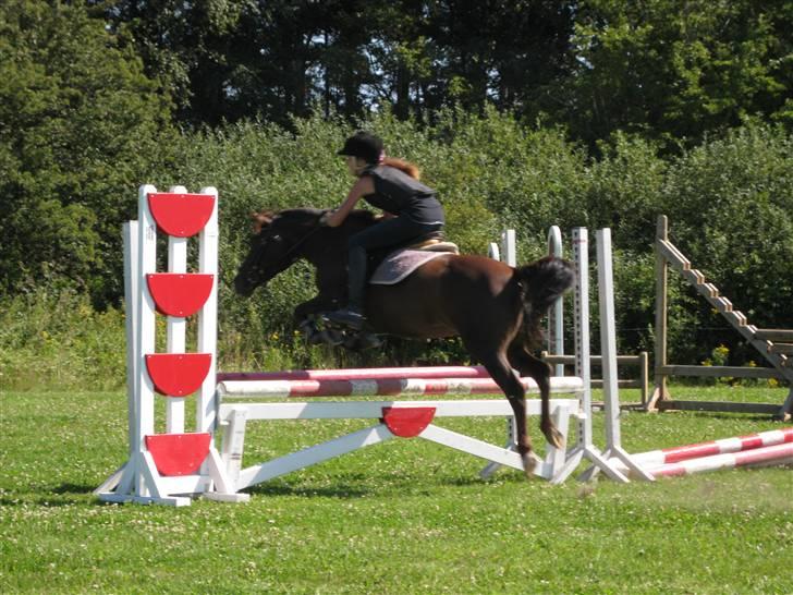 Søborggård Ridelejr Uge 32 billede 135