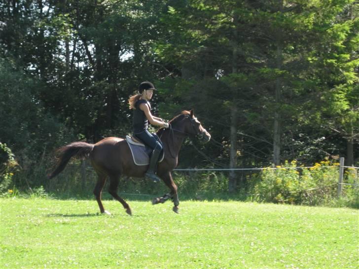 Søborggård Ridelejr Uge 32 billede 136