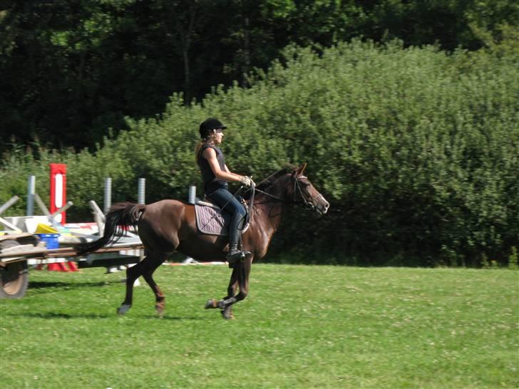 Søborggård Ridelejr Uge 32 billede 137