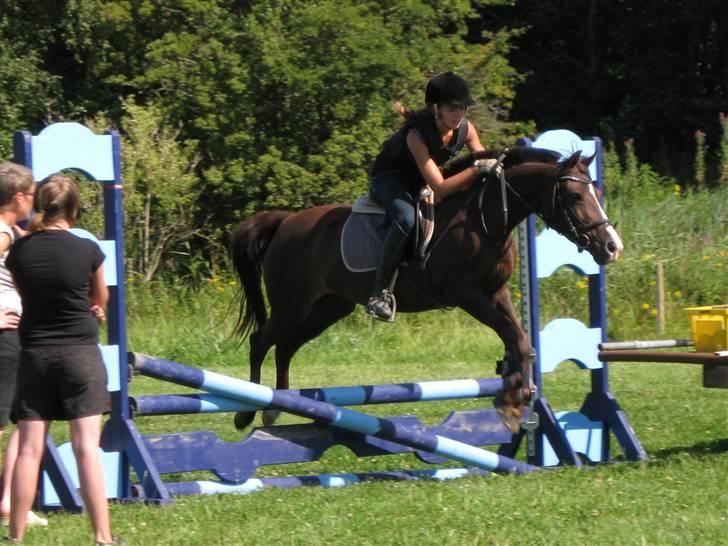 Søborggård Ridelejr Uge 32 billede 138