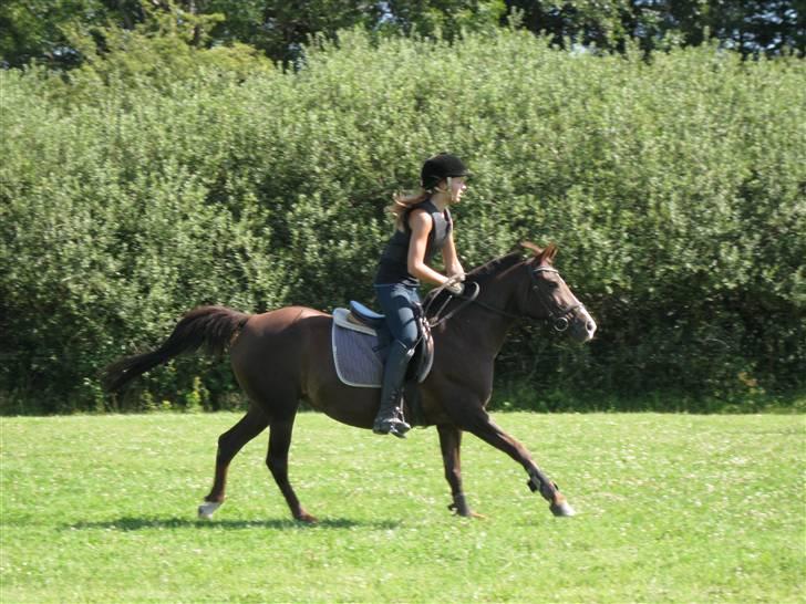 Søborggård Ridelejr Uge 32 billede 139