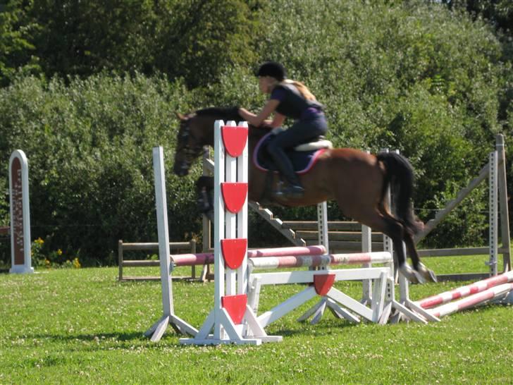 Søborggård Ridelejr Uge 32 billede 140