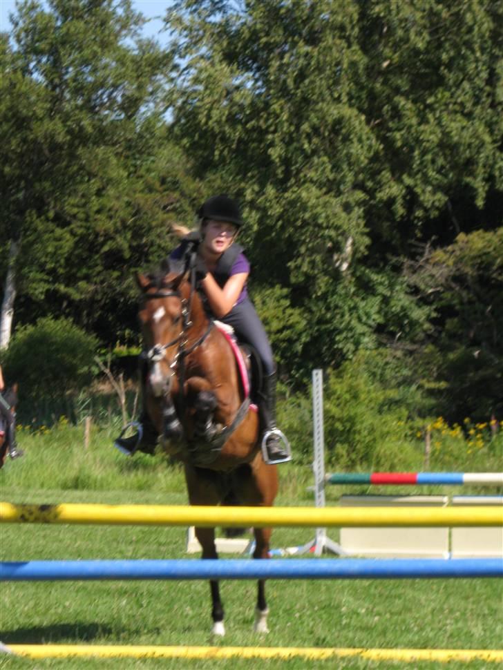 Søborggård Ridelejr Uge 32 billede 142