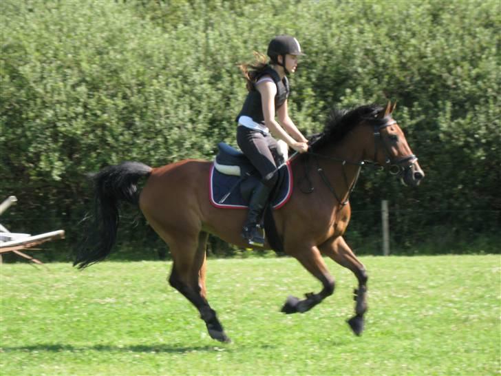 Søborggård Ridelejr Uge 32 billede 143