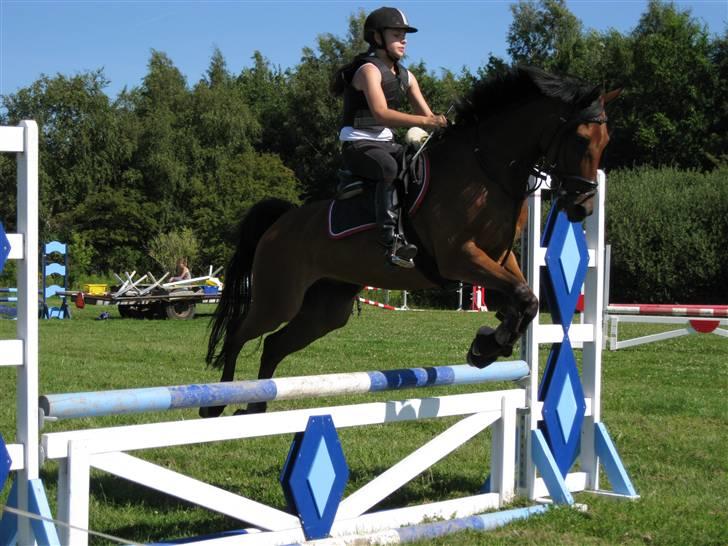 Søborggård Ridelejr Uge 32 billede 145