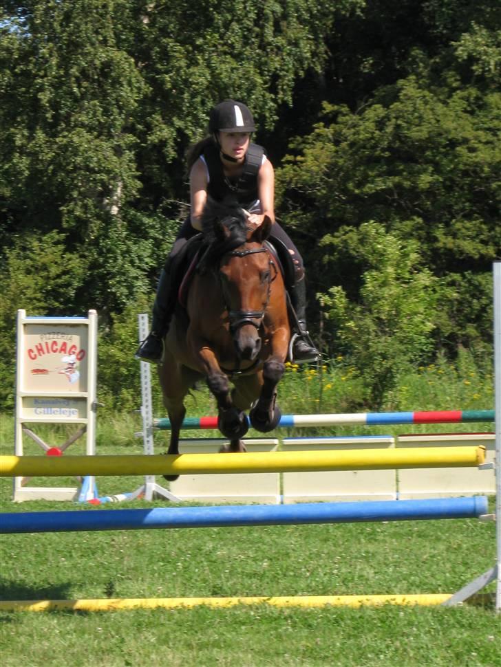 Søborggård Ridelejr Uge 32 billede 146