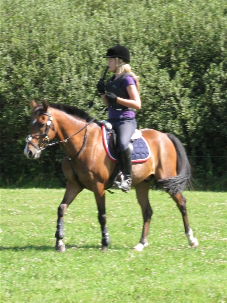 Søborggård Ridelejr Uge 32 billede 147