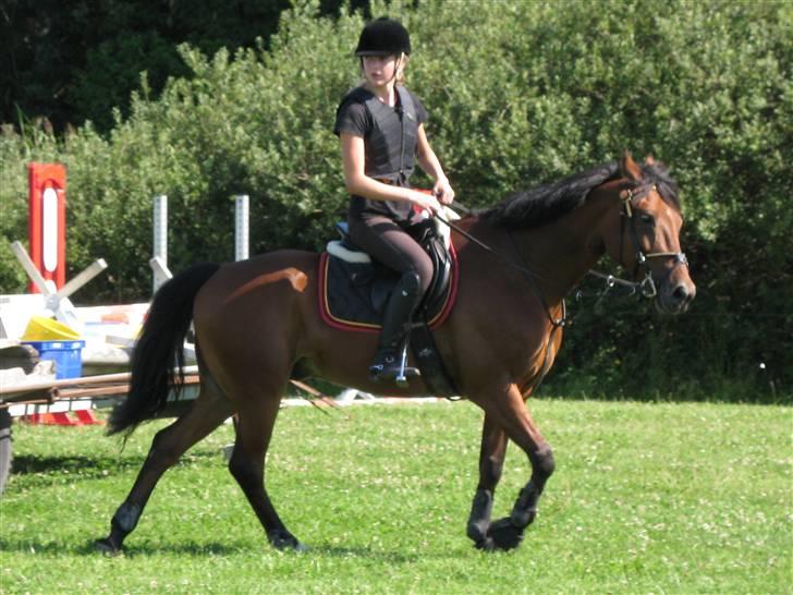 Søborggård Ridelejr Uge 32 billede 148