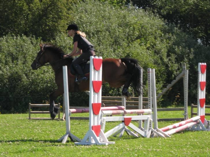 Søborggård Ridelejr Uge 32 billede 150