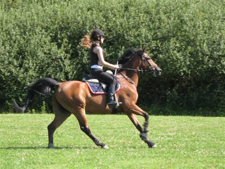 Søborggård Ridelejr Uge 32 billede 152