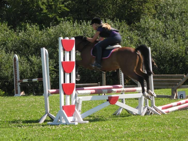 Søborggård Ridelejr Uge 32 billede 153