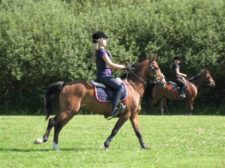 Søborggård Ridelejr Uge 32 billede 154