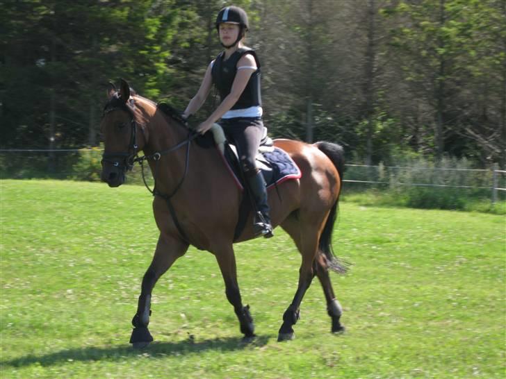 Søborggård Ridelejr Uge 32 billede 155