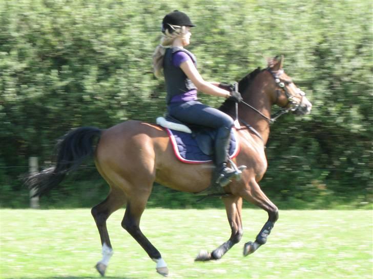 Søborggård Ridelejr Uge 32 billede 157