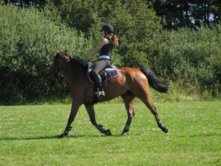 Søborggård Ridelejr Uge 32 billede 158